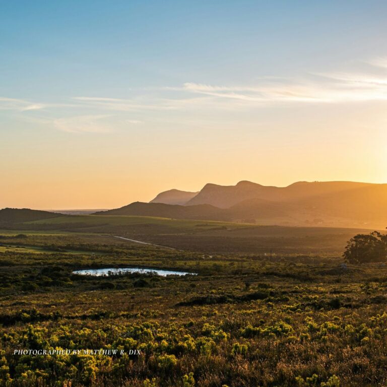 Top 10 Romantic Getaways in Overberg 2024 Cover Photo