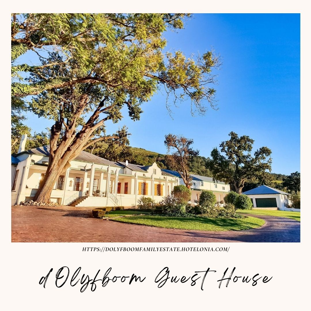 d'Olyfboom Guest House Featured Image