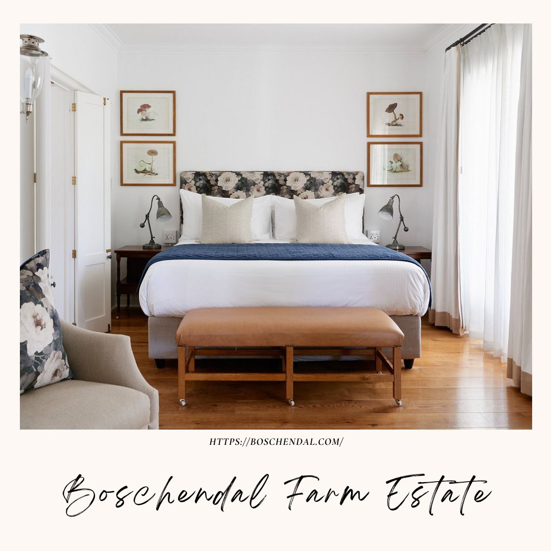 Boschendal Farm Estate Feature Image