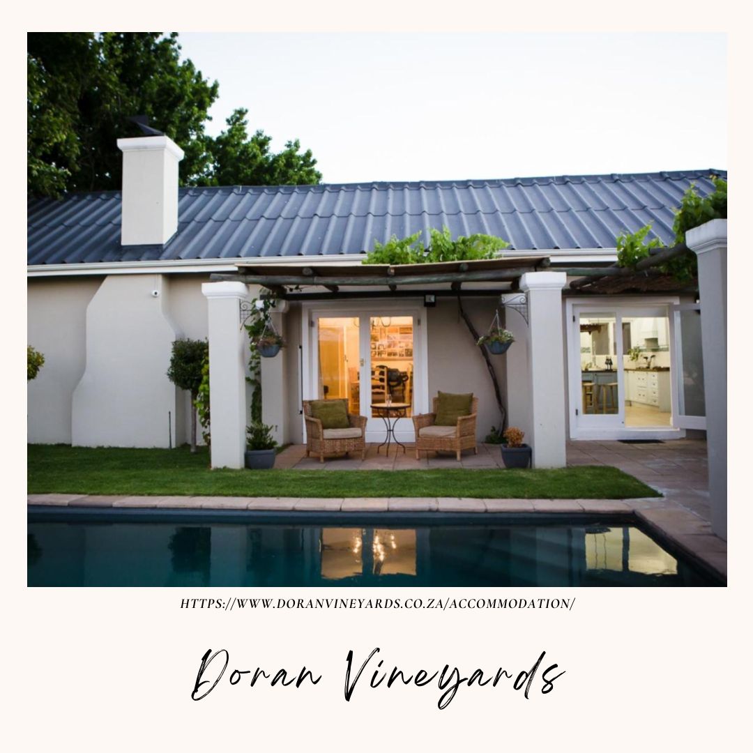 Doran Vineyards Feature Image