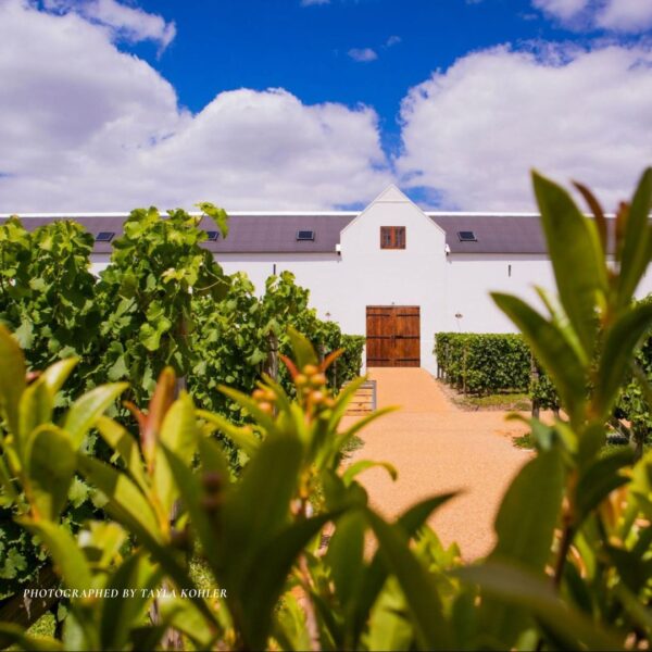 Most Romantic Wine Farms in Cape Winelands 2024 Cover Photo