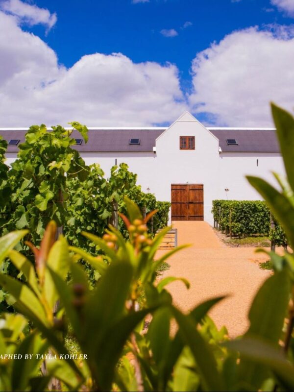 Most Romantic Wine Farms in Cape Winelands 2024 Cover Photo