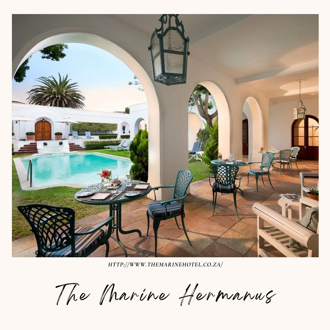 The Marine Hermanus Featured Image